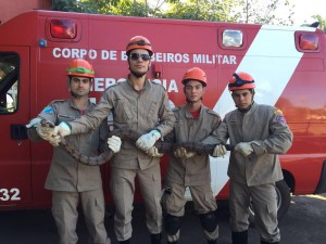 militares com jiboia