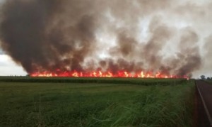 Incêndio Florestal