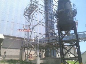 steica-3