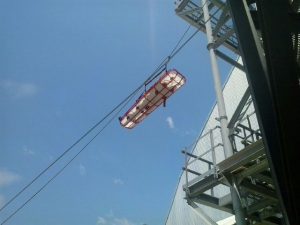 steica-6