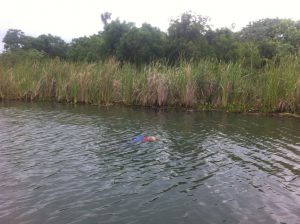 img-20161112-wa0004