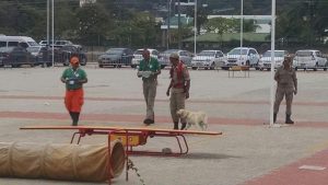 img-20161116-wa0011