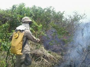 Militares do 3° Grupamento de Bombeiros realizaram o combate ao incêndio florestal de grande proporções que assolou a linha fronteiriça Brasil-Bolívia.