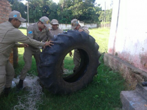 Militares e Agentes Endêmicos fazem varredura na unidade do 3º GBM à procura de possíveis ambientes para proliferação do mosquito Aedes Egypt