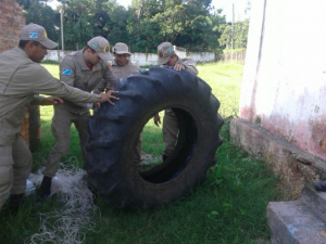 Militares e Agentes Endêmicos fazem varredura na unidade do 3º GBM à procura de possíveis ambientes para proliferação do mosquito Aedes Egypt 