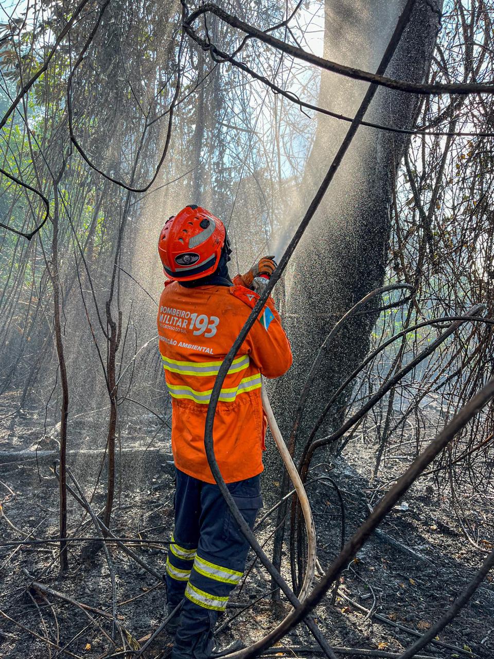 MS e MT juntos na prevenção e combate aos incêndios florestais no Pantanal
